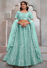 Load image into Gallery viewer, Sea Green Net Lehenga Choli
