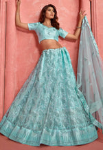 Load image into Gallery viewer, Sea Green Net Lehenga Choli
