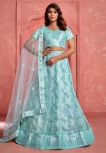 Load image into Gallery viewer, Sea Green Net Lehenga Choli
