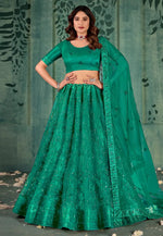 Load image into Gallery viewer, Sea Green Net Lehenga Choli
