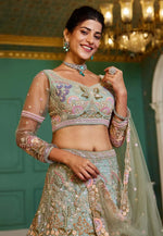 Load image into Gallery viewer, Sea Green Net Lehenga Choli
