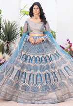 Load image into Gallery viewer, Sky Blue Net Circular Lehenga Choli

