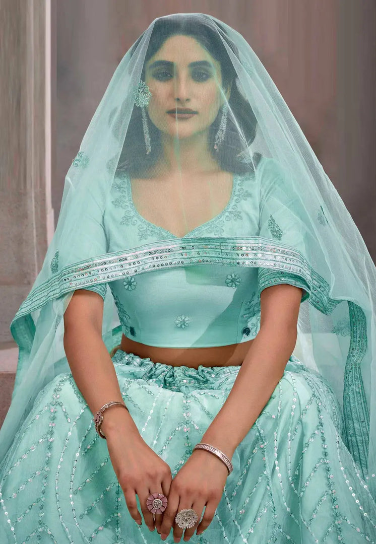 Sky Blue Net Lehenga Choli