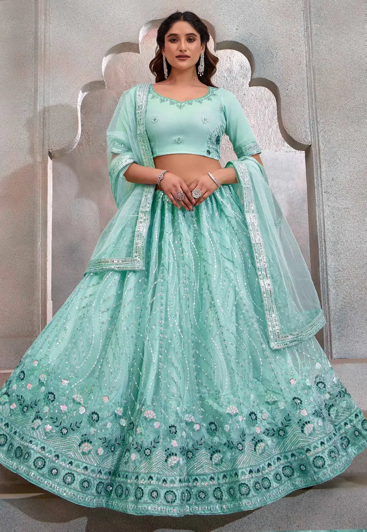Sky Blue Net Lehenga Choli