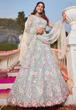 Load image into Gallery viewer, Sky Blue Net Lehenga Choli
