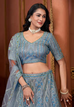 Load image into Gallery viewer, Sky Blue Net Lehenga Choli
