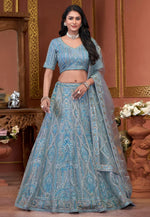 Load image into Gallery viewer, Sky Blue Net Lehenga Choli
