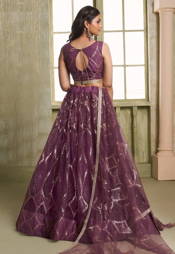 Wine Net Circular Lehenga Choli