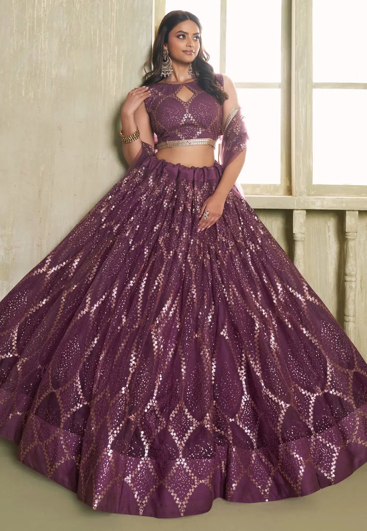 Wine Net Circular Lehenga Choli