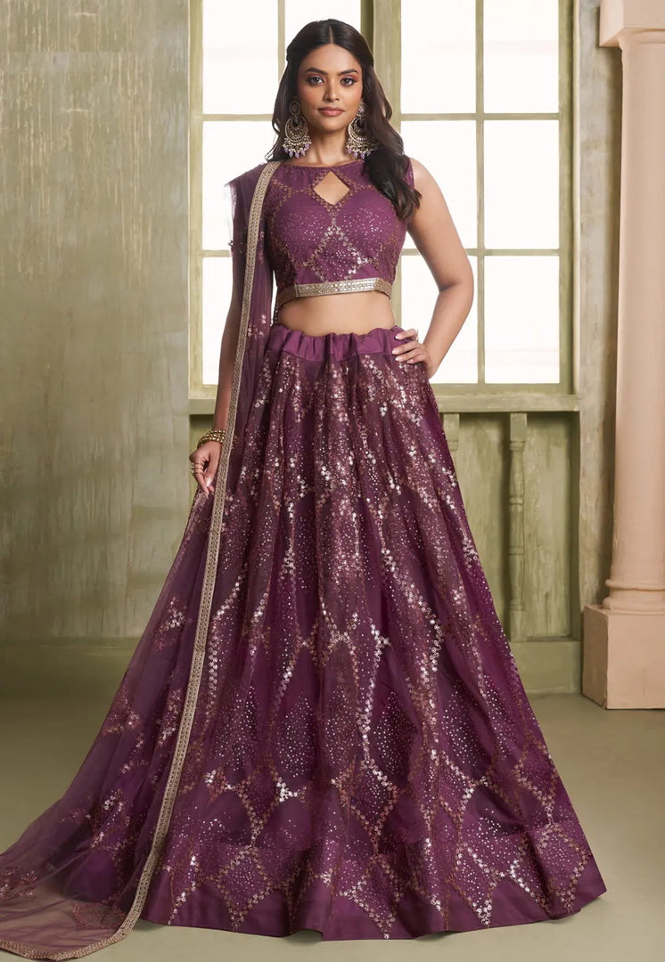 Wine Net Circular Lehenga Choli