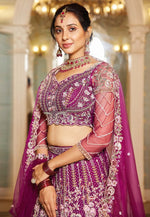 Load image into Gallery viewer, Wine Net Lehenga Choli
